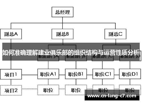 如何准确理解建业俱乐部的组织结构与运营性质分析