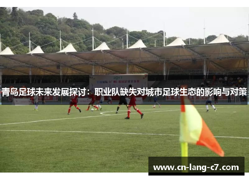 青岛足球未来发展探讨：职业队缺失对城市足球生态的影响与对策